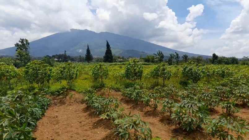 tanah desa ciadeq cijeruk