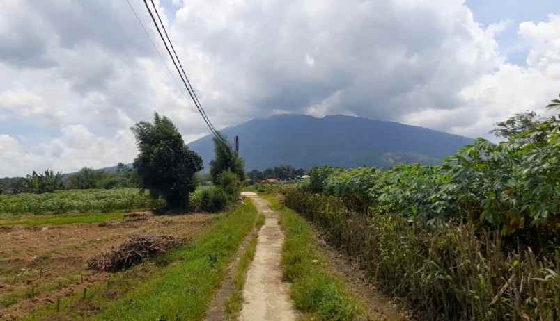 tanah desa ciadeq cijeruk