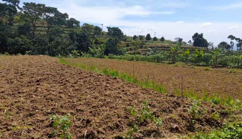 tanah desa ciadeq cijeruk