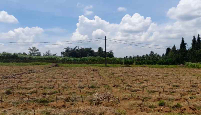 tanah desa ciadeq cijeruk