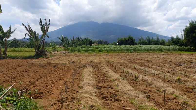 tanah desa ciadeq cijeruk