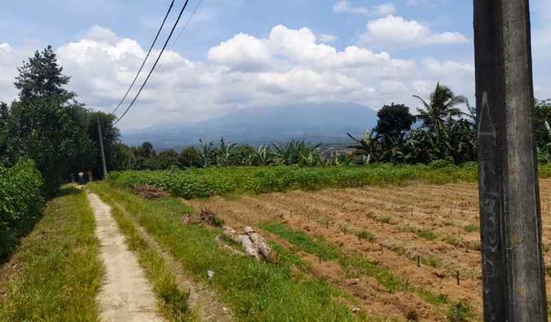 tanah desa ciadeq cijeruk