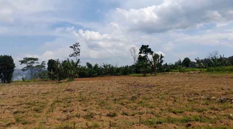 tanah desa ciadeq cijeruk