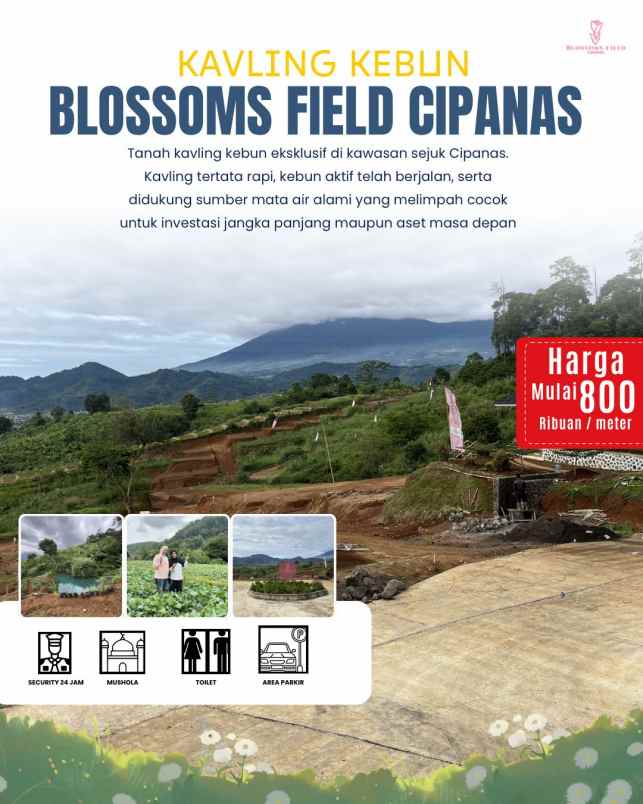 tanah kavling kebun di sukaresmi cianjur