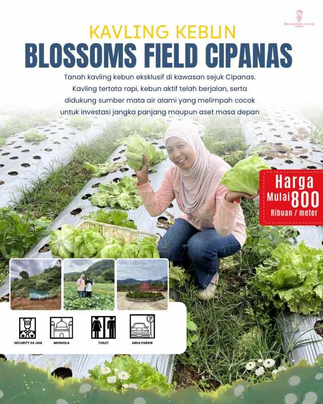 tanah kavling kebun di sukaresmi cianjur