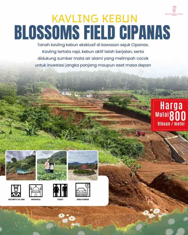 tanah kavling kebun di sukaresmi cianjur