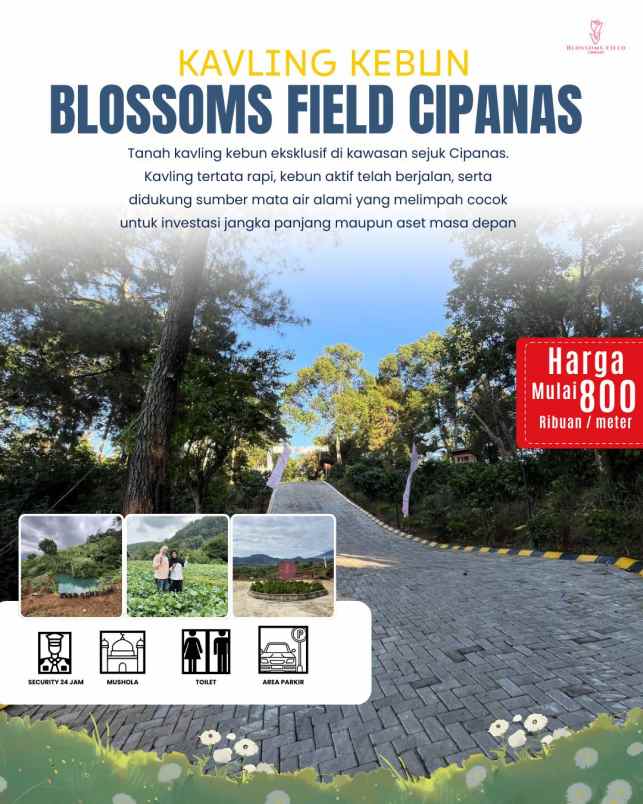 tanah kavling kebun di sukaresmi cianjur