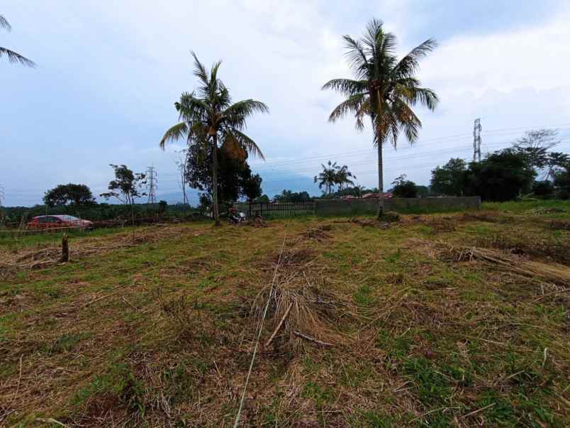 tanah kavling murah lokasi strategis caringin bogor