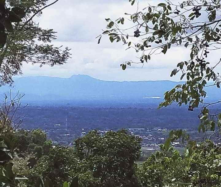 tanah kebun durian siap panen karangpandan karanganyar