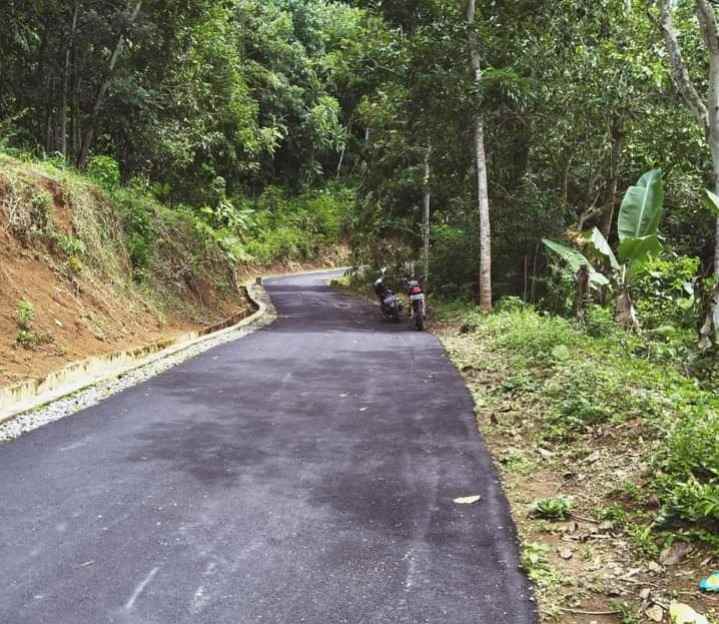 tanah kebun durian siap panen karangpandan karanganyar