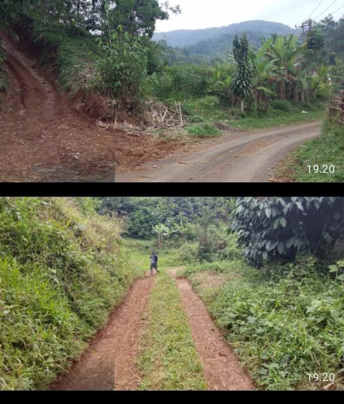 tanah kebun serang panjang subang jawa barat