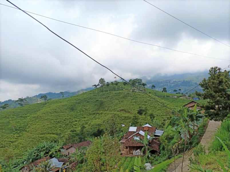 tanah kemuning ngargoyoso