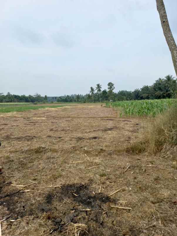 tanah kosong hamparan perak deli serdang