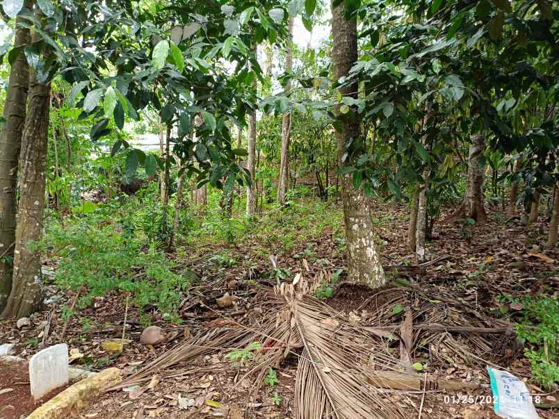 tanah kuburan makam keluarga luas 400m shm