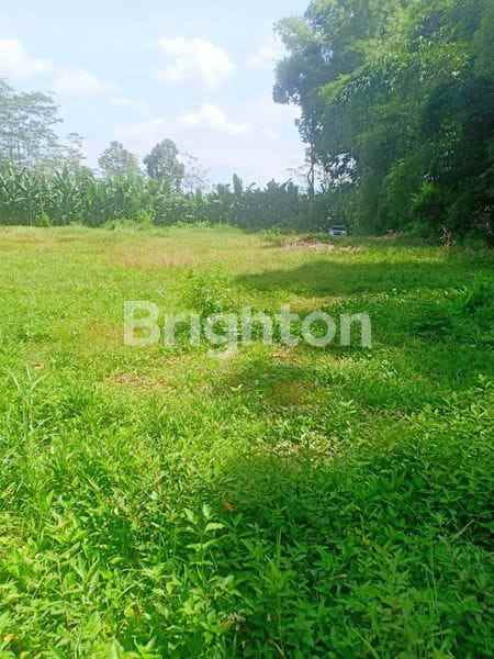 tanah luas akses mobil di sumberkradenan pakis malang