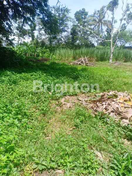 tanah luas akses mobil di sumberkradenan pakis malang