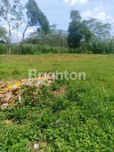 tanah luas akses mobil di sumberkradenan pakis malang