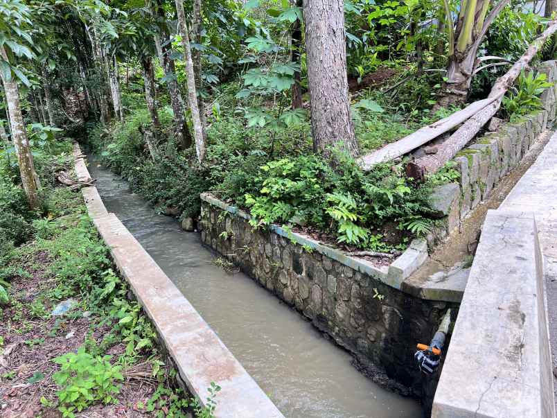 tanah murah 1641m hanya 250 juta karanganyar