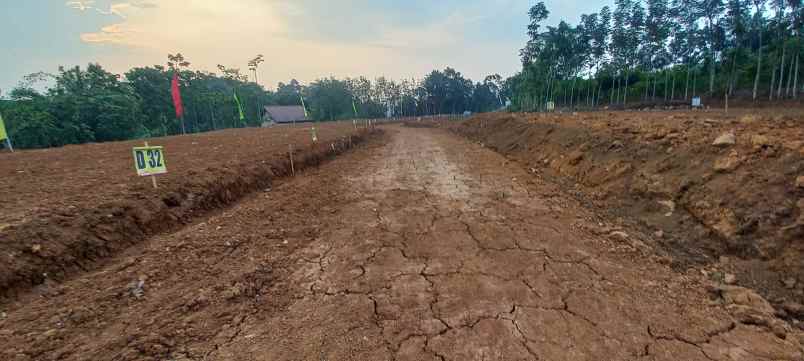 tanah murah di gunungpati semarang