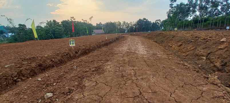 tanah murah di gunungpati semarang