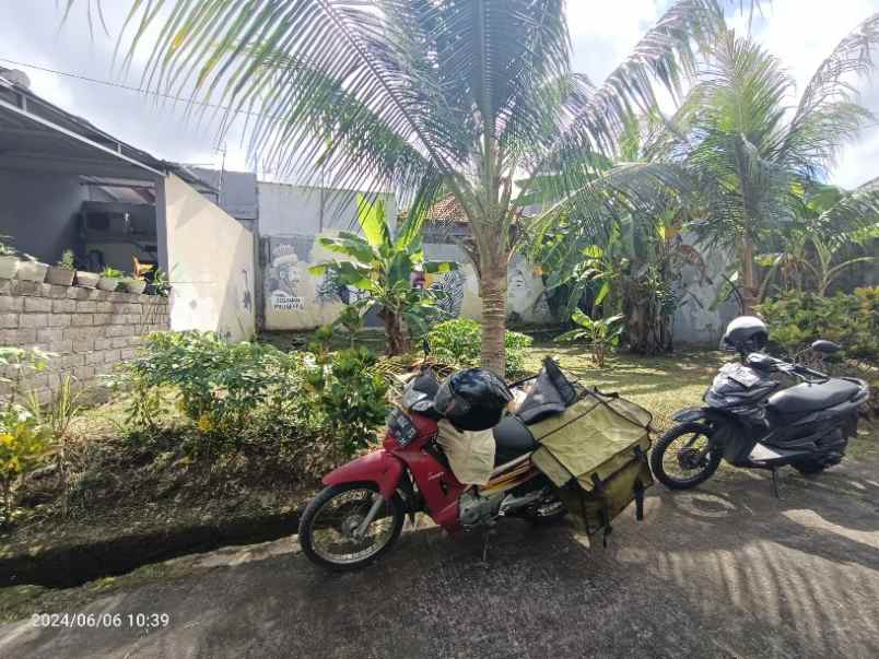 tanah murah di sanggulan kediri tabanan bali