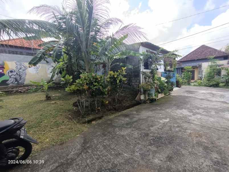 tanah murah di sanggulan kediri tabanan bali