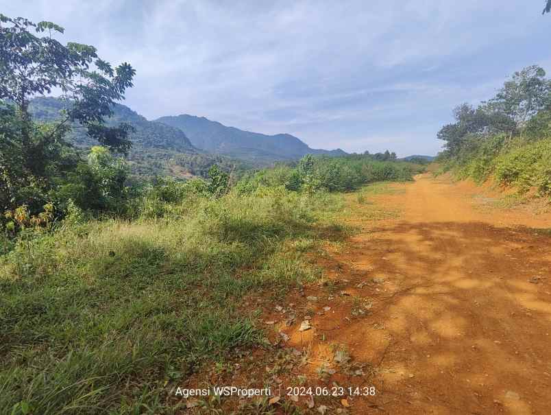 tanah murah untuk rumah atau kebun peternakan bogor