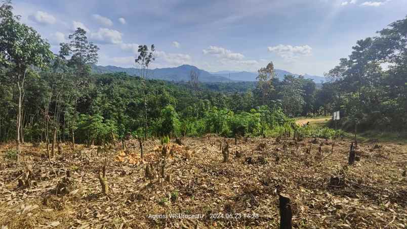 tanah murah untuk rumah atau kebun peternakan bogor