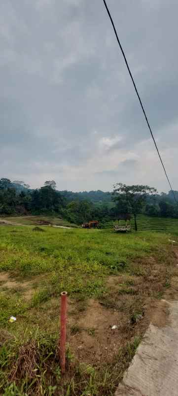 tanah murah untuk rumah atau kebun peternakan bogor