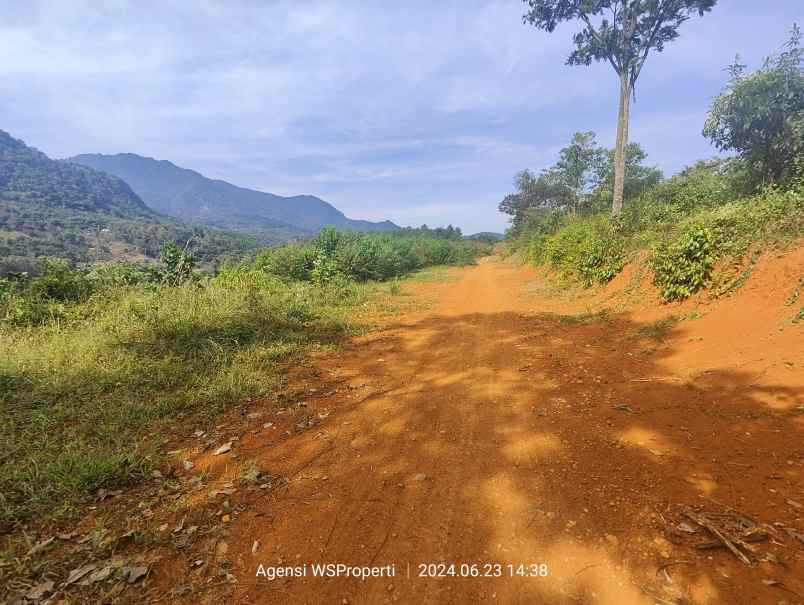 tanah murah untuk rumah atau kebun peternakan bogor