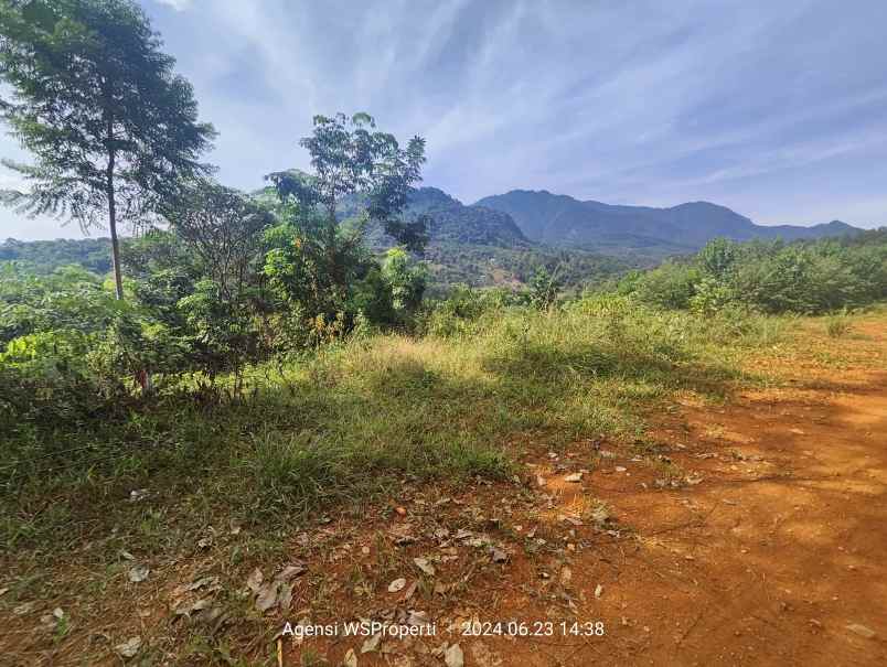 tanah murah untuk rumah atau kebun peternakan bogor