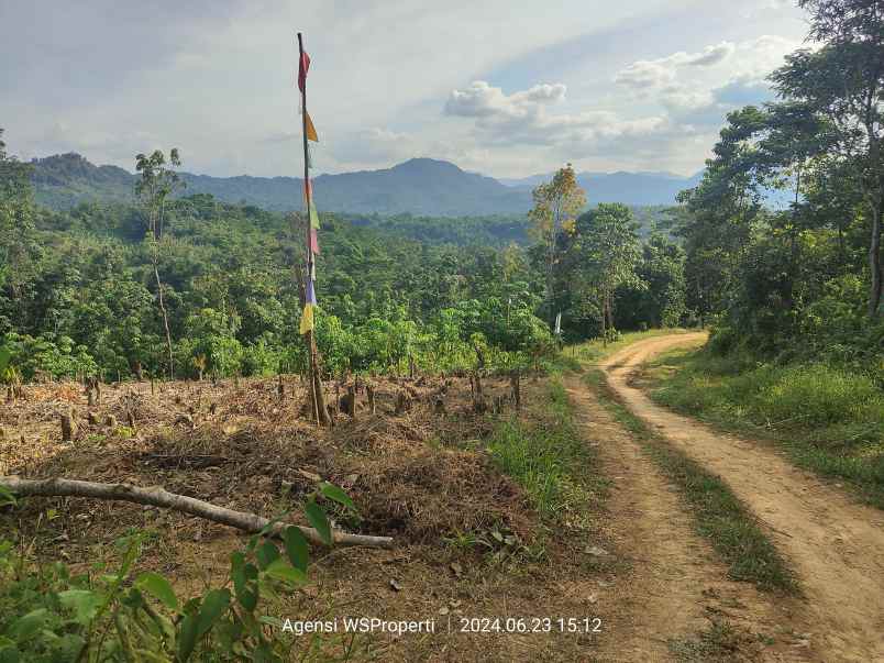 tanah murah untuk rumah atau kebun peternakan bogor