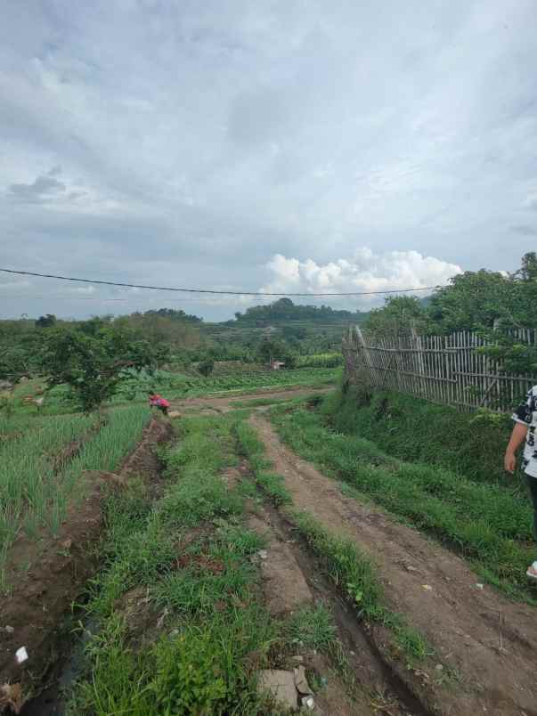 tanah pertanian subur harga baik di junrejo kota batu