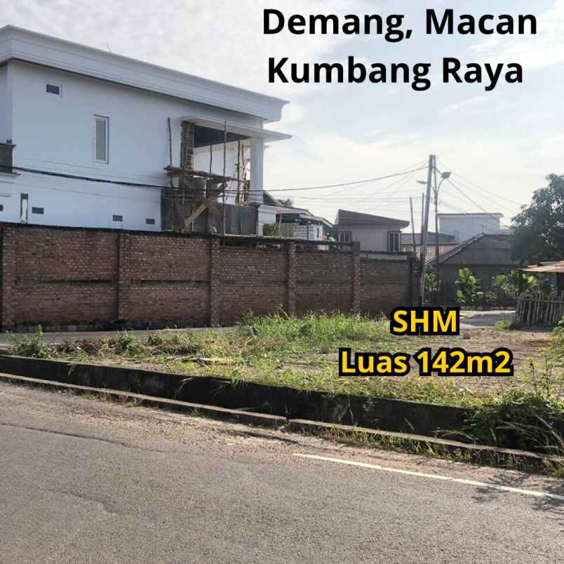 tanah pinggir jalan macan kumbang