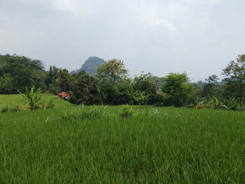 tanah produktif daerah sumedang jawa barat