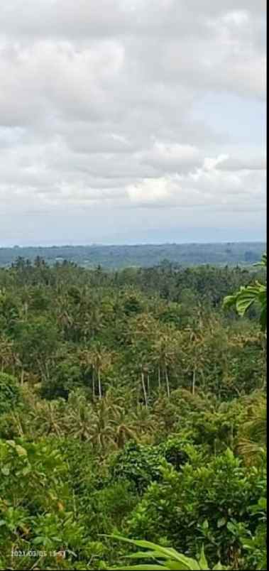 tanah view lembah dan gunung di selemadeg bali