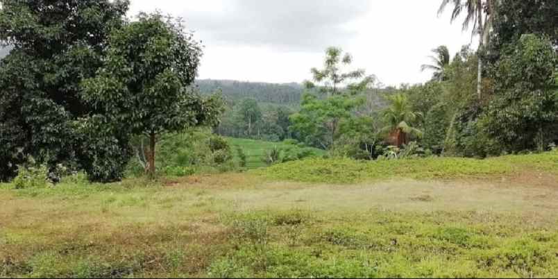 tanah view lembah dan gunung di selemadeg bali