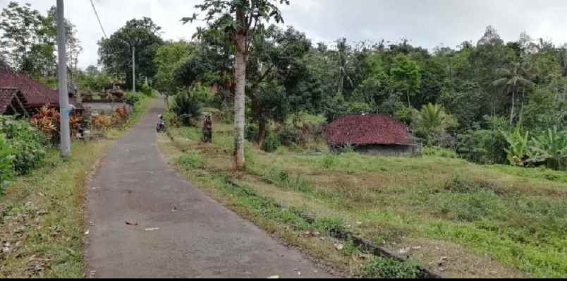 tanah view lembah dan gunung di selemadeg bali