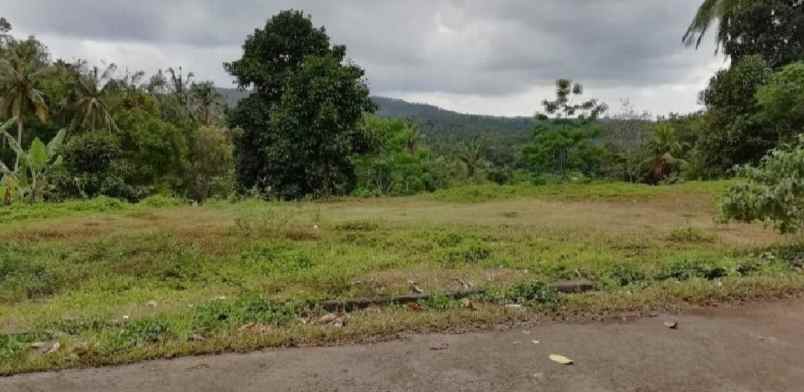 tanah view lembah dan gunung di selemadeg bali