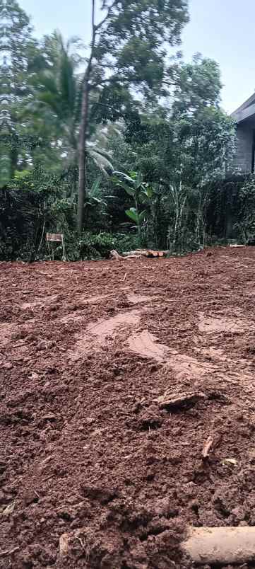 tanah yellow zone di keliki dekat ubud bali
