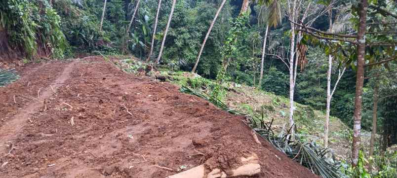 tanah yellow zone di keliki dekat ubud bali