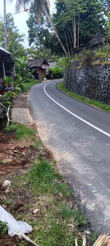 tanah yellow zone di keliki dekat ubud bali