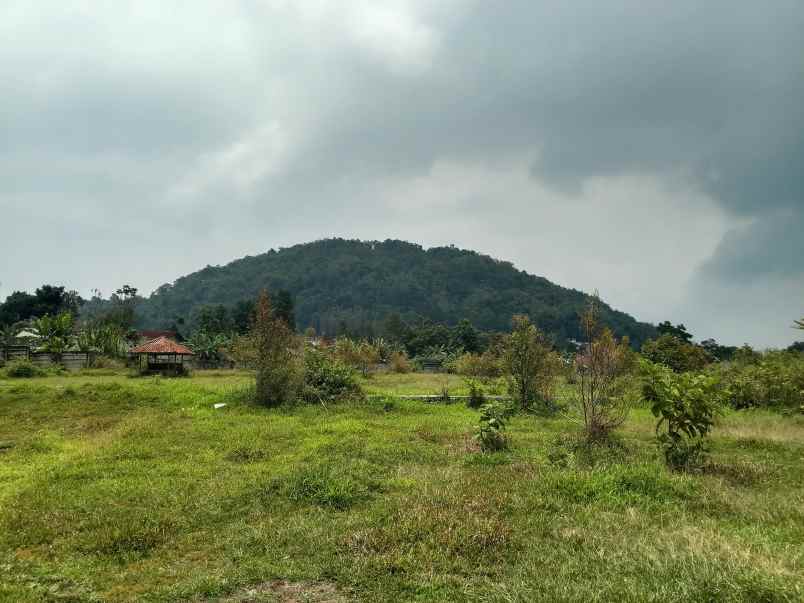 tanah zona wisata ciater subang jawa barat