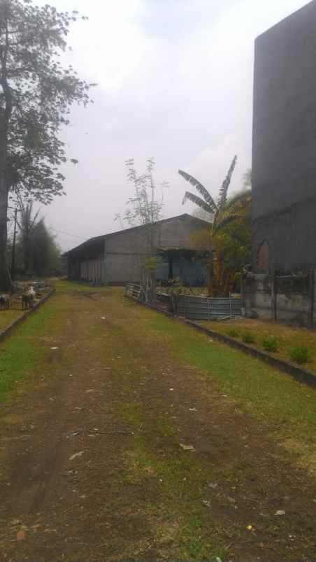 01 dijual gudang lokasi cileungsi bogor jawa barat