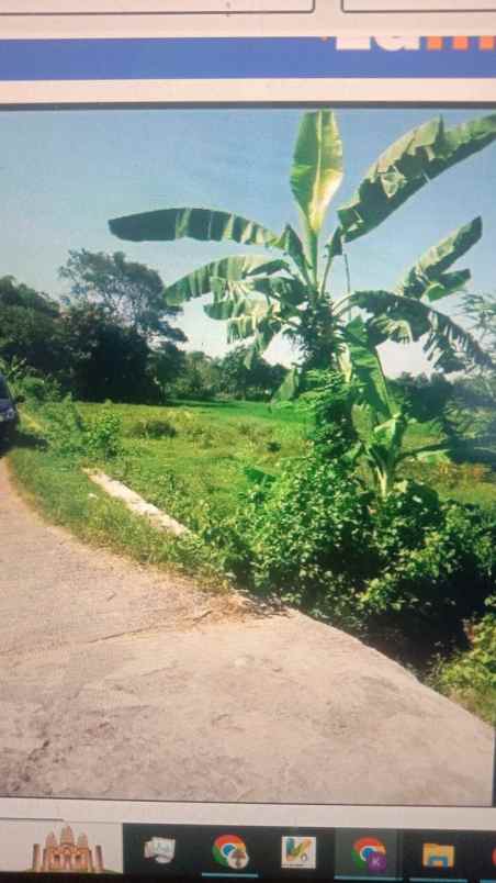 bu jual tanah dekat candi plaosan dan candi prambanan