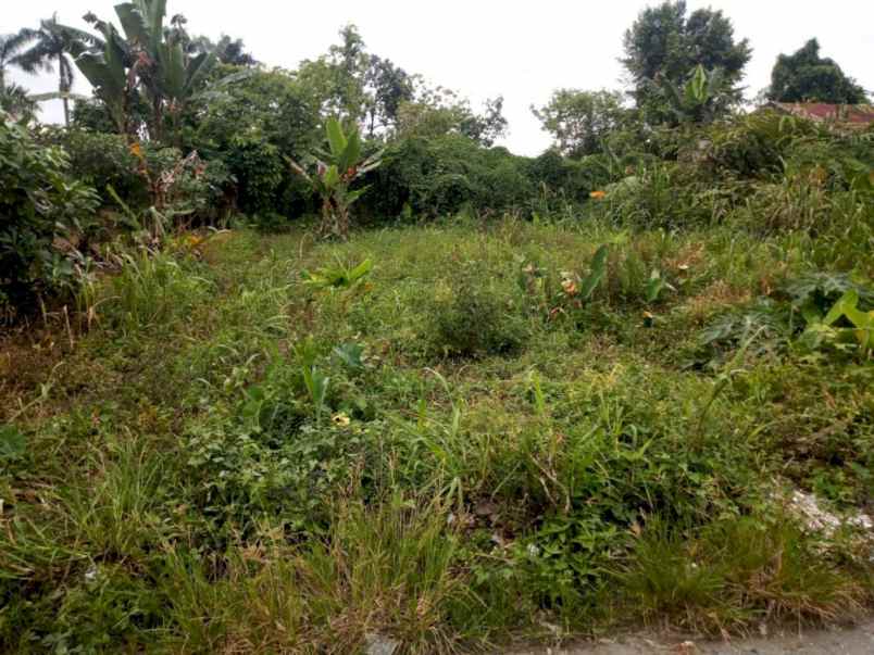 dijual cepat turun harga lahan lokasi bagus