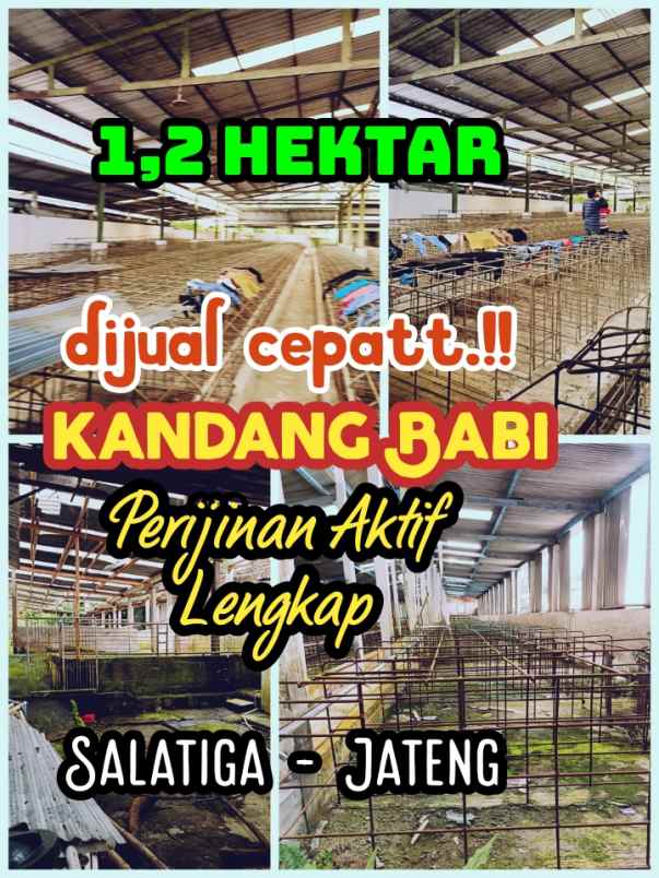 dijual kandang babi 1 2ha ijin aktif salatiga 15m nego