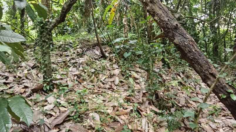 dijual lahan dengan view lembah dan bukit yang indah