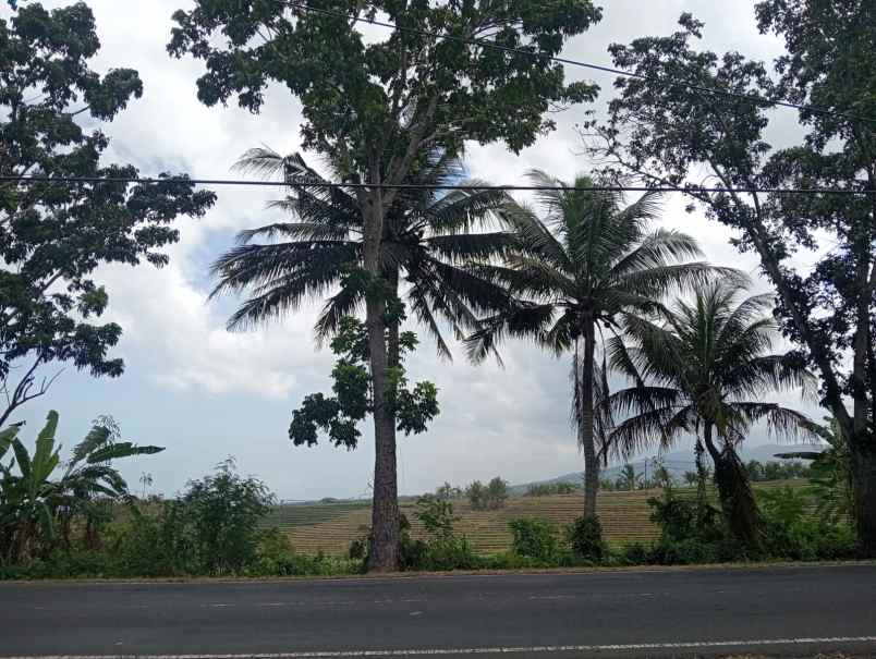 dijual lahan yang berada di zona perdagangan dan jasa
