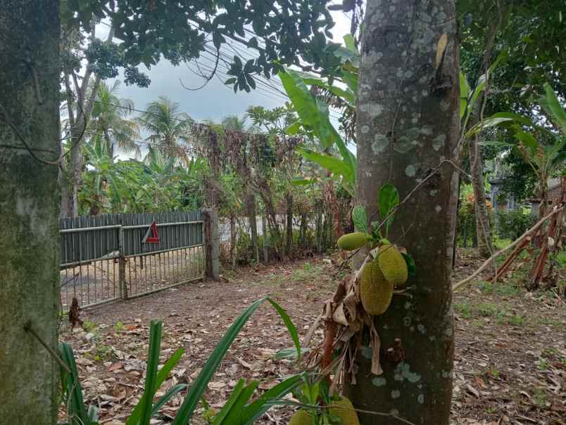 dijual lahan yang berada di zona perdagangan dan jasa
